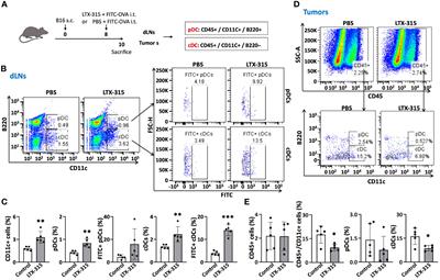 LTX-315 triggers anticancer immunity by inducing MyD88-dependent maturation of dendritic cells